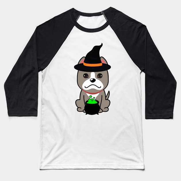 Cute grey dog is a witch Baseball T-Shirt by Pet Station